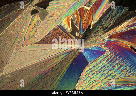 Crystals of Erbium Nitrate under a microscope. The crystals are precipitated from a solution on a microscope slide and photographed in polarized light Stock Photo