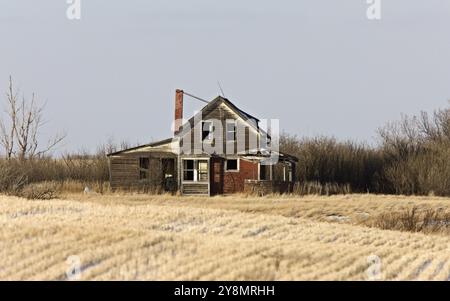 Prairie Abandoned Homestead in Saskatchewan Canada winter Stock Photo