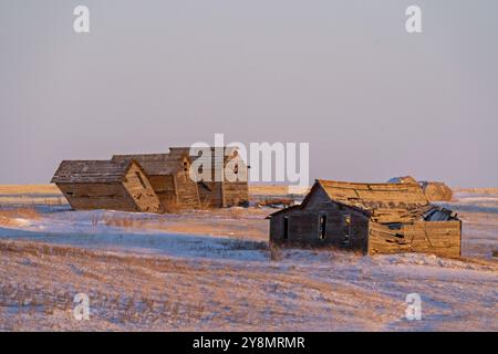 Saskatchewan plains winter extreme cold prairie scenic Stock Photo