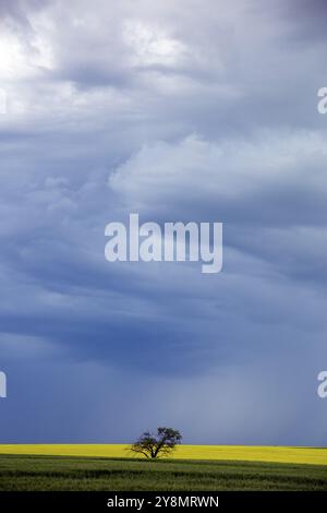 Ominous Storm Clouds Prairie Summer Rural Scene Stock Photo