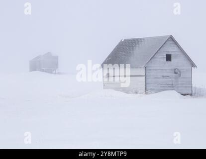 Prairie Winter Scenes rural Saskatchewan Canada Frost Stock Photo
