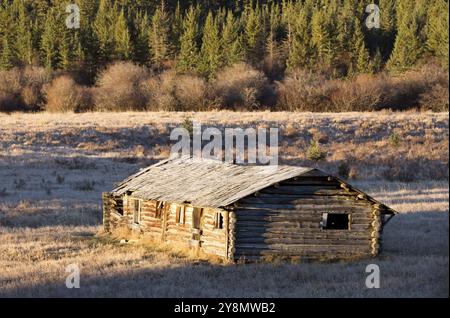 Cypress Hills Alberta Saskatchewan homestead abandoned building Stock Photo