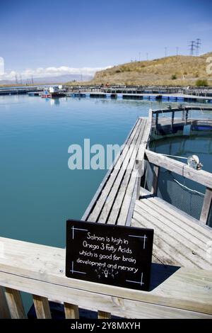 Lake Benmore Salmon Farm South Island New Zealand Stock Photo