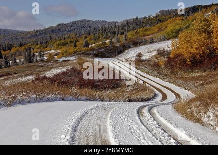 Cypress Hills First Snowfall Alberta Saskatchewan Canada Stock Photo