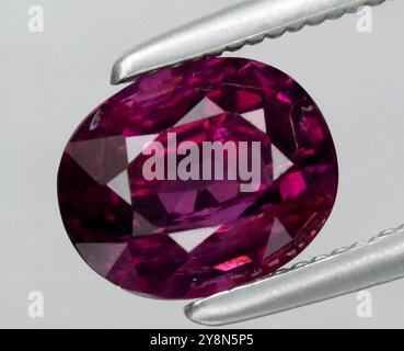 Stunning Oval Cut Natural Ruby Gemstone Captured in Exquisite Detail. Stock Photo