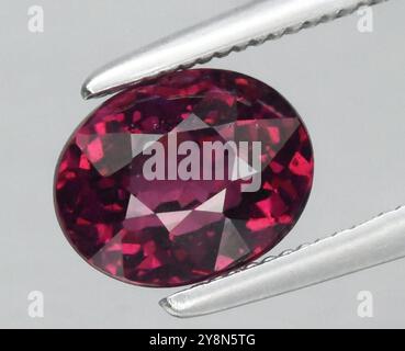 A Stunning Oval-Cut Natural Ruby Gemstone Showcased with Fine Precision and Dazzling Clarity. Stock Photo