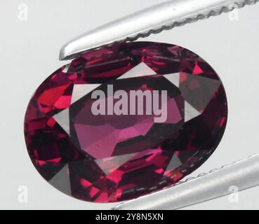 Exquisite Deep Pink Natural Ruby Gemstone in Oval Cut Displayed Elegantly. Stock Photo