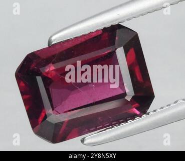 Exquisite Natural Ruby Gemstone with Emerald Cut in Silver Tweezers. Stock Photo