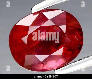 Exquisite Oval-Cut Natural Ruby Gemstone Showcasing Rich Red Color and Intricate Faceting. Stock Photo