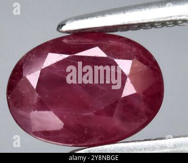 Exquisite Polished Natural Ruby Gemstone in Oval Cut Showcasing Vivid Red Hue. Stock Photo