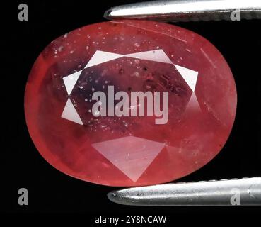 Exquisite Oval Cut Natural Ruby Gemstone Glimmering with Intricate Internal Patterns. Stock Photo