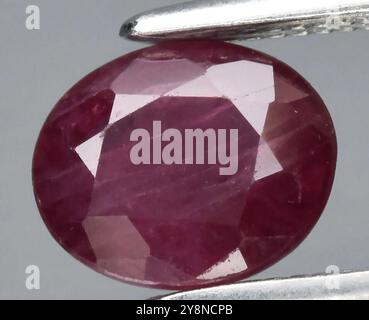 Exquisite Oval-Cut Natural Ruby Gemstone Displayed Elegantly on a Silver Setting. Stock Photo