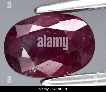 Exquisite Oval Cut Natural Ruby Gemstone with Intricate Facets and Rich Coloration. Stock Photo