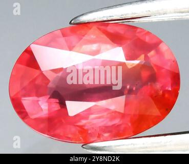 Stunning Oval-Cut Natural Pink Ruby Gemstone with Intricate Clarity and Color Depth. Stock Photo