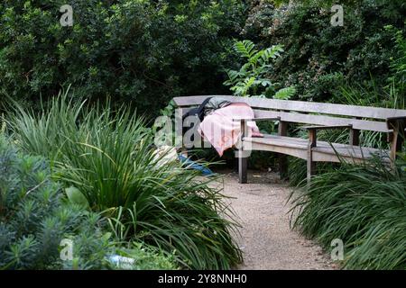 A person sleeps on a bench amongst the trees and bushes in the Reflection Garden near St Paul's Cathedral, London, UK Stock Photo