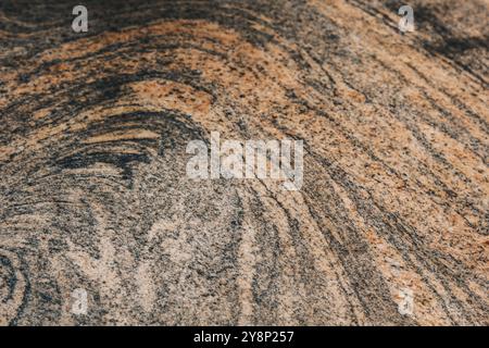 Vienna, Austria - May 12, 2019: Surface displaying intricate natural patterns. Stone features various shades of brown and beige with some lighter and Stock Photo