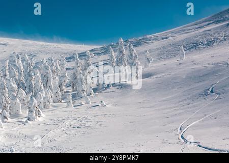 Windy, freezing cold winter landscape with snow covered trees and ice Stock Photo