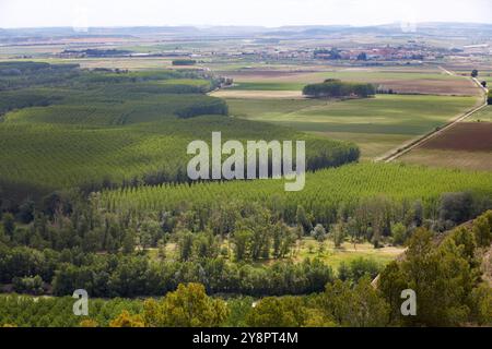 Aragon and Arga rivers confluence, Peñalen ravine, Funes, Navarre, Spain. Stock Photo