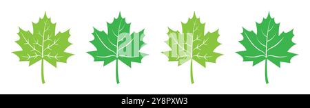 Set of flat maple leaf shape icons isolated on white background vector illustration. Maple leaf icon set in green color. Forest and wood signs symbol. Stock Vector