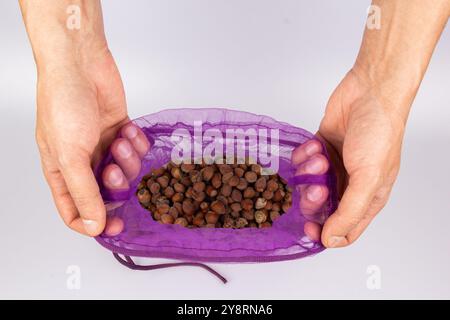 Man's hand picking a walnut and hazelnuts from a bag. The concept of harvesting hazel, nuts, agriculture, countryside, farm, vegetarianism, veganism Stock Photo