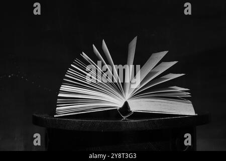 Open book, Reading, learning, education or home office concept. Black and white image, free copy space. Stock Photo