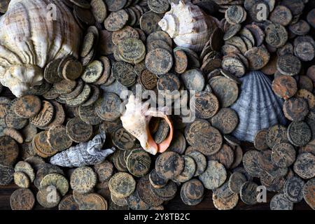 Pile of Roman coins and sea shells on old dark wooden table, top view of Ancient money hoard, vintage background. Concept of antique, Empire, texture, Stock Photo
