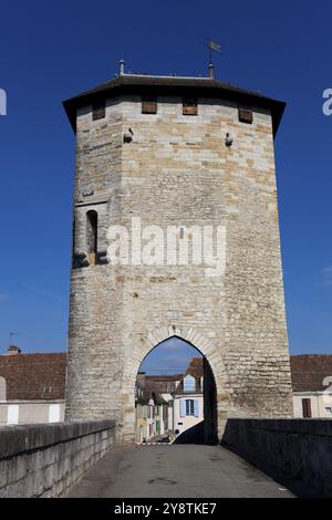 The old bridge, Orthez, Pyrenees Atlantiques, Aquitaine, France, Europe Stock Photo