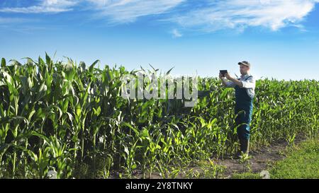 Caucasian male Farmer in overalls and rubber boots with tablet computer filming corn field Stock Photo