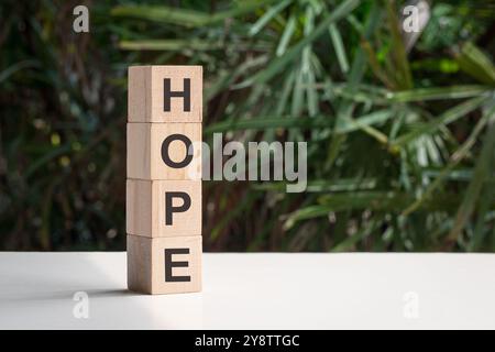 Hope, word written on stacked up square wood block, on top of white table with palm plant at the background. Stock Photo