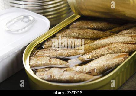 Canned smoked fish sprats in just opened tin can. Non-perishable food Stock Photo