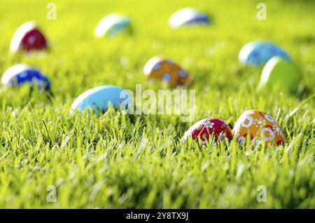 Easter eggs lying on green spring grass Stock Photo