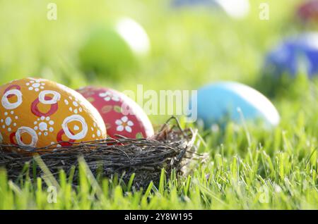 Easter eggs in the nest on green spring grass Stock Photo