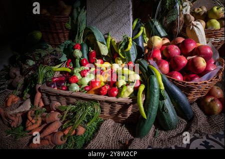 Fresh organic vegetables in an old wicker basket freshly harvested from vegetable garden. Stock Photo