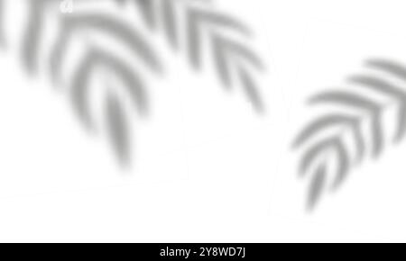 Transparent realistic floral shadow overlay effect Stock Vector