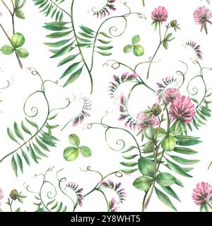 Clover pink flower with Mouse pea climbing plant seamless pattern. Wildflowers watercolor Hand drawn illustration. Meadow wild herbs bunch. Field Stock Photo