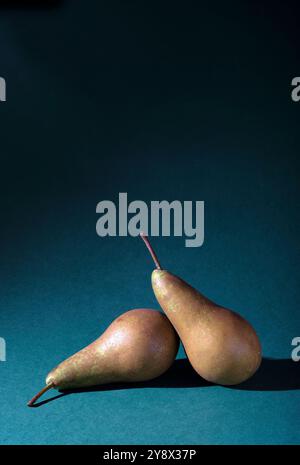 two conference pears on green background Stock Photo