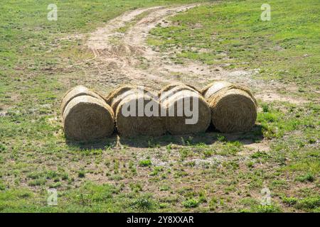 In a peaceful grassy field, there are four bales of hay neatly stacked on top of each other, creating a picturesque rural scene Stock Photo