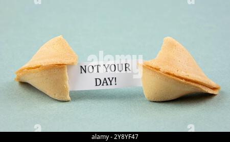 Opened fortune cookie with a piece of paper inside, a "fortune" saying: NOT YOUR DAY! Sarcastic bad luck concept. Blue color studio background. Stock Photo