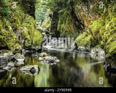 The Fairy Glen, a narrow canyon on the Afon Conwy near Betws-y-Coed, Conwy, North Wales. Stock Photo