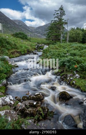 Stream Flowing Through Lush green ferns and moss-covered rocks with Maumturk Mountains in the Background Stock Photo