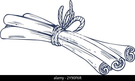 Cinnamon graphic black white isolated sketch illustration vector Stock ...