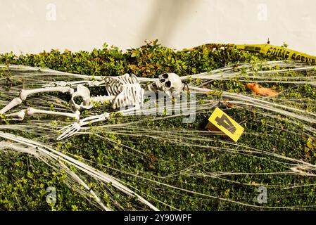 Halloween skeleton. Skeleton for Halloween decorations. Scary skeletons Decorated at front yard of a American home. Trick or treat. Halloween backgrou Stock Photo
