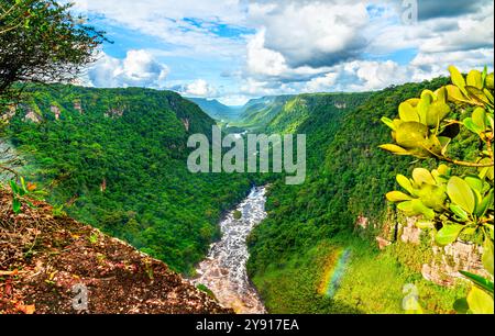 The Potaro river valley under Kaieteur Falls in the Amazon rainforest of Guyana, South America Stock Photo