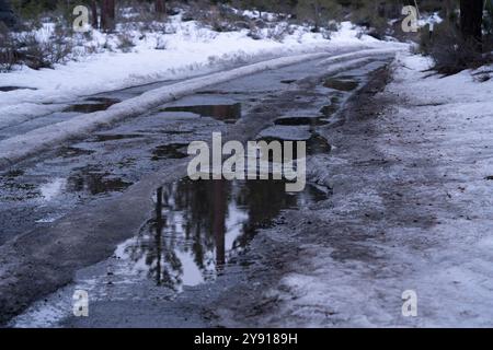 Wet mountain road from rain and melting snow in forest, just before sunset.  Unplowed. Stock Photo