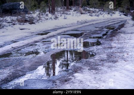 Wet mountain road from rain and melting snow in forest, just before sunset.  Unplowed. Stock Photo