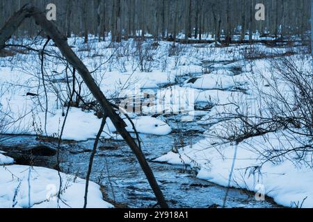 Stream through snow covered Sierra Nevada meadow during a warm winter before sunset. Stock Photo