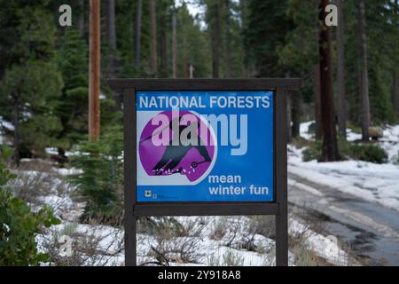Wet mountain road from rain and melting snow in forest, just before sunset.  Unplowed. Stock Photo