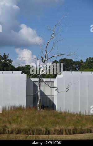 A stainless steel sculpture of a tree titled Askew is a prominent feature outside of the West Building of the North Carolina Museum of Art Stock Photo