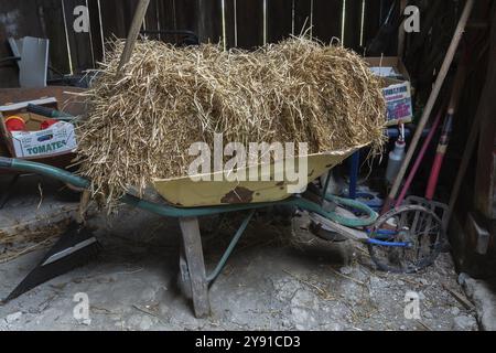 Old yellow painted hand made makeshift wheelbarrow filled with hay inside an old barn, Quebec, Canada, North America Stock Photo