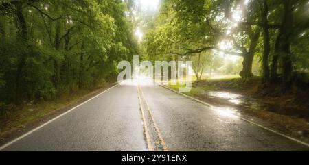 The pavement is wet as it rains on the road through southern agriculture producing landscape Stock Photo